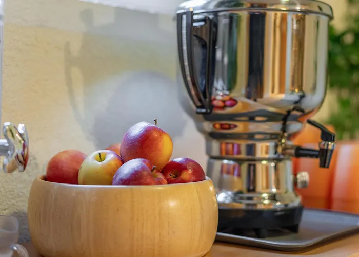 Gasthuis Haus Amaris Sölden